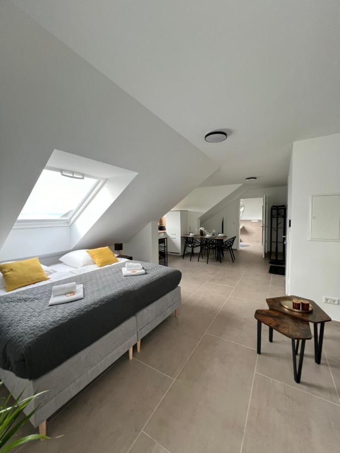 Bnb Open Apartments Pader-Stars 帕德博恩 外观 照片